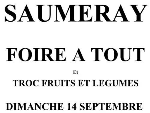 SAUMERAY - Foire à tout du club de l'amitié