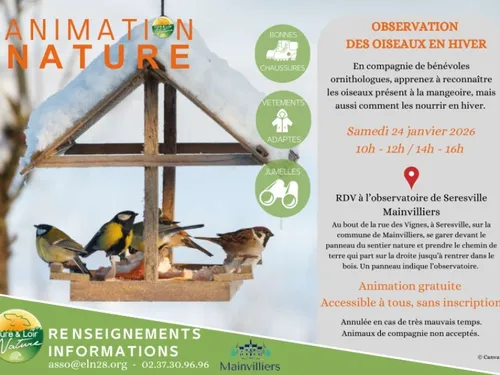MAINVILLIERS - Observation des oiseaux en hiver