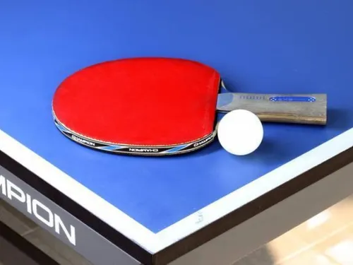 TENNIS DE TABLE- Chartres en Pro A en déplacement en Seine-Maritime