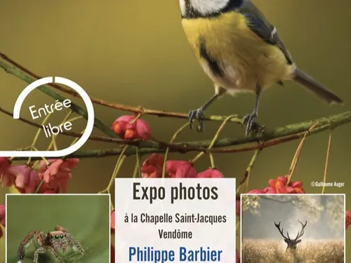 VENDÔME (41) - Exposition : Regards Nature