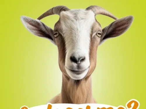 VOVES - Visite de ferme : Des légumes solidaires !
