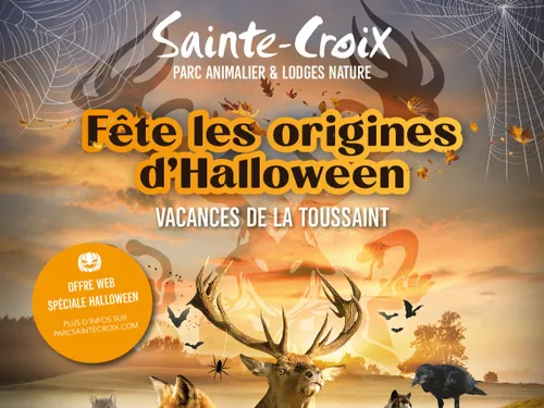 La Voix Mystère : vos places pour le Parc de Sainte-Croix