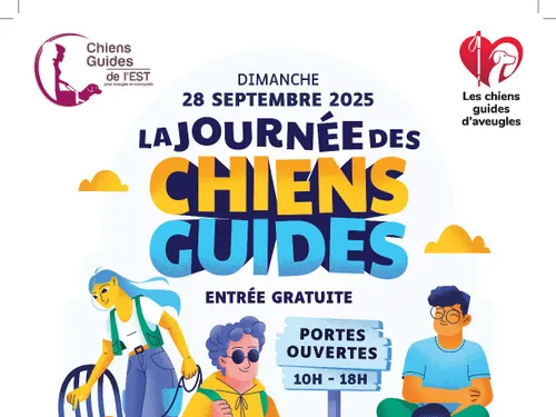 Moselle : à la découverte du monde des chiens guides 
