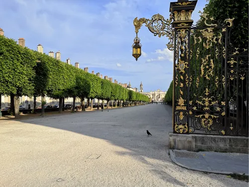 Nancy. Le chemin piéton estival est de retour ! 