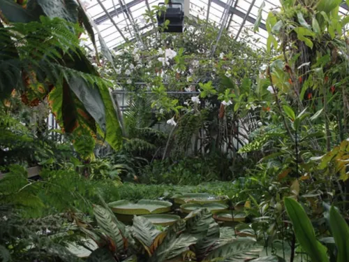 Nancy : Le jardin botanique se mobilise pour le droit des plantes