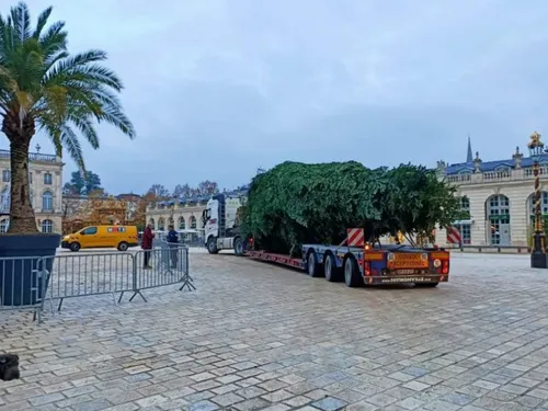 Nancy : la municipalité lance un casting pour trouver son sapin en...