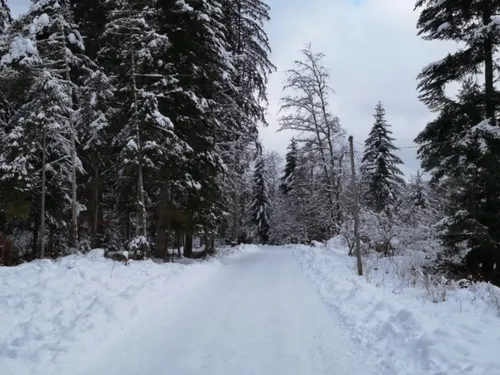 Météo en lorraine : les premières neiges ce mardi dans les Vosges