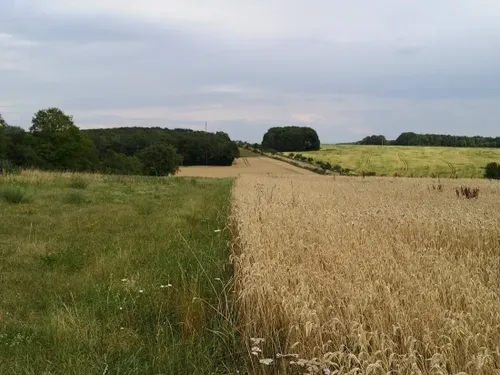 Meurthe-et-Moselle : la quasi-totalité du département passe en...