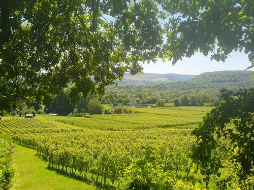 L’invité du jour : on vous dit tout sur le domaine « Les Béliers »...