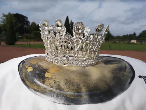 L'édition 2022 des Fêtes de la Mirabelle s’annonce exceptionnelle !