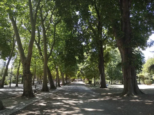 Le parc de la Pépinière se met au vert ce week-end