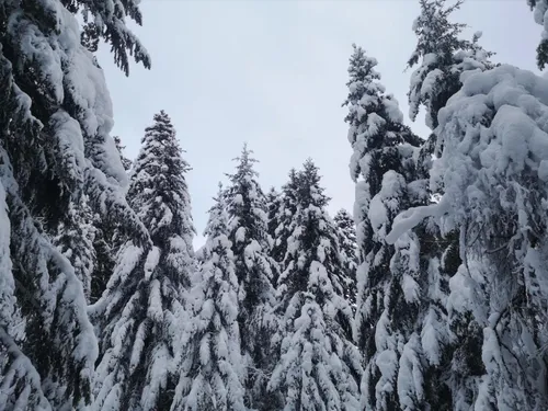 Offres d’emploi en lorraine : la station de ski La Bresse-Hohneck...