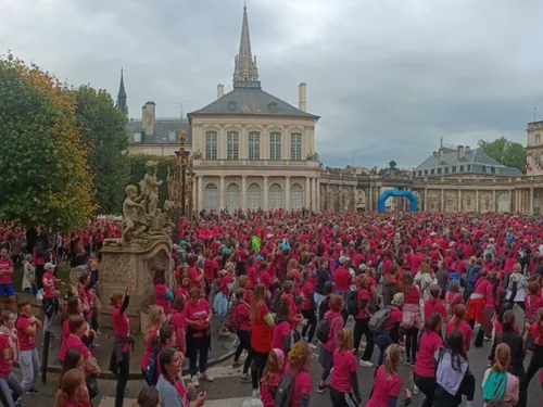 6000 participants et un dimanche en rose à Nancy