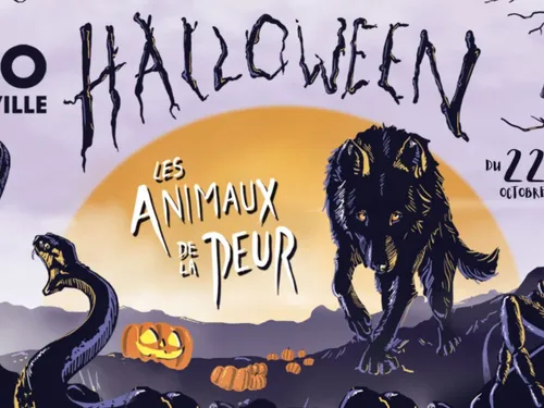 Idée de sortie : Venez profiter de l'Automne au Zoo d'Amnéville