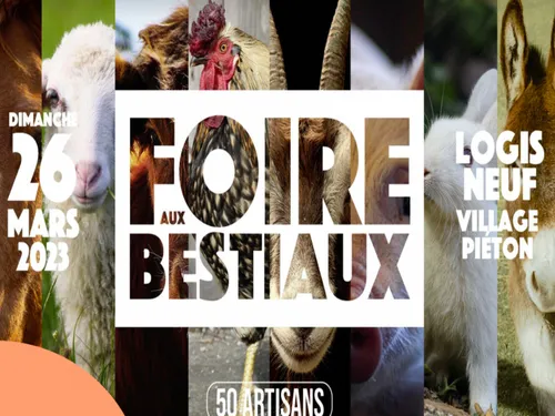 Allauch : la Foire aux bestiaux pour un moment en famille !