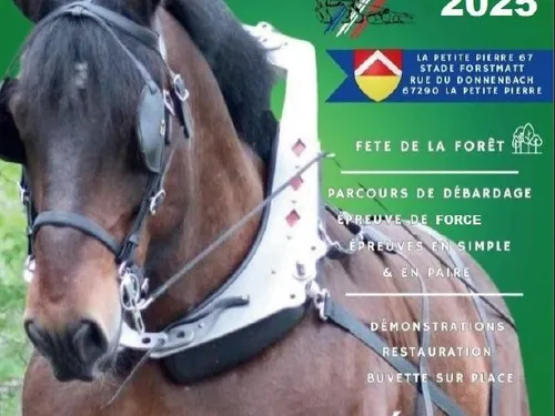 CHAMPIONNAT DE FRANCE DE DEBARDAGE A LA PETITE PIERRE LES 7 ET 8 JUIN