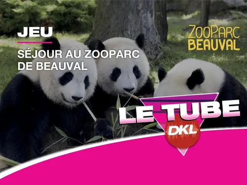 Gagnez votre séjour familial au Zoo de Beauval !