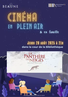 Cinéma en plein air