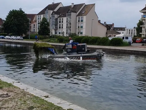 Comment lutter contre les algues dans le port du canal et le lac...