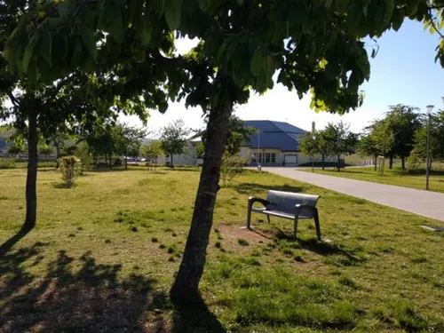 L'agenda des sorties à Marsannay-la-Côte en février