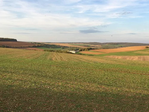 Une nouvelle assurance pour les agriculteurs de Côte d’Or 