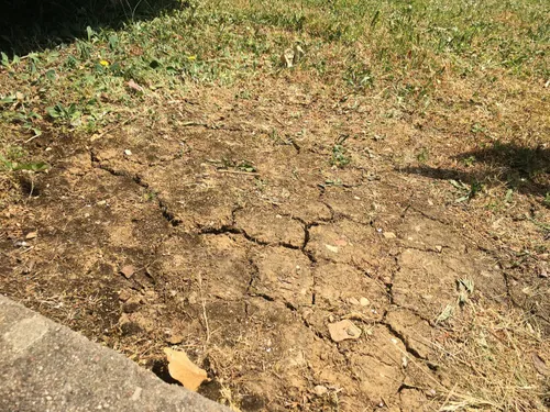 L’état de catastrophe naturelle sècheresse reconnu pour Dijon en 2022