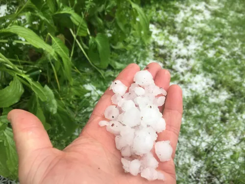 La grêle a déferlé à Dijon 