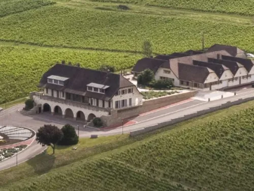 Le Domaine de la Pinte : un joyau du Jura entre tradition,...