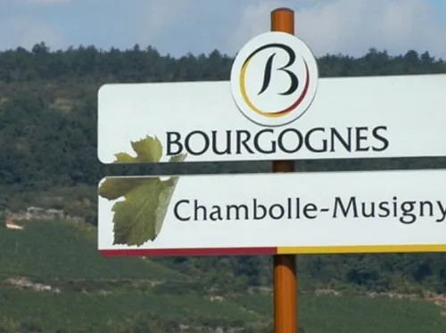 Les panneaux des appellations de bourgognes vendus aux enchères