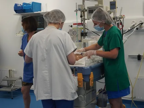 « Santenov Dijon Bourgogne », nouveau pôle pour l’innovation dans...