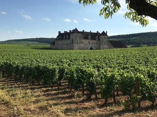 Les « Chemins Épicuriens », une offre de visites couplée en Côte-d’Or