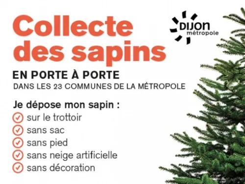 Quand seront collectés vos sapins de Noël ?