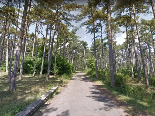 Interdiction de fumer et de faire des barbecues sur le Plateau de...
