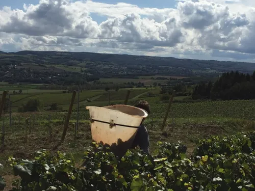 Les syndicats agricoles invitent les agriculteurs à ne pas rester...