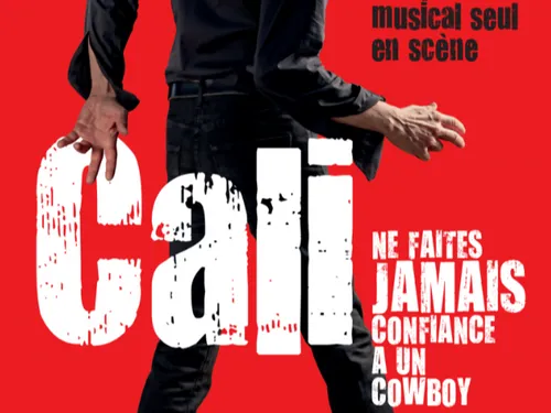 Le chanteur Cali en concert à Quetigny