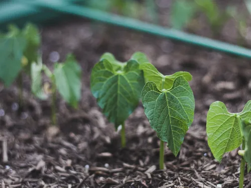 « Ose l’agriculture » : l’ANEFA Côte-d’Or cherche de nombreux talents