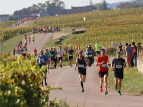 Sport, fête et terroir : Le Marathon des Grands Crus revient en...