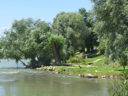 L’interdiction de baignade le long des côtes samariennes est levée