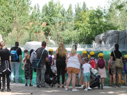 Le Zoo d’Amiens Métropole lance une émission cet été