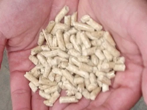 Eure-et-Loir : une commande groupée de pellets pour préparer l'hiver