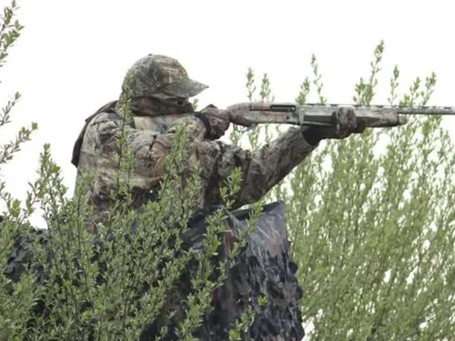 L'état du gibier inquiète dans les Yvelines