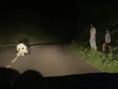Jeu dangereux dans l'Oise : ils placent une peluche en plein virage