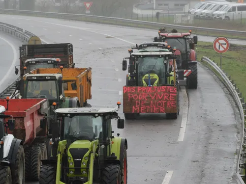 Agriculteurs : avis divergents selon les syndicats FNSEA, JA, CR et...