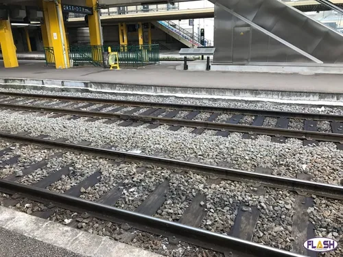 Travaux : "Urgence ligne POLT" dénonce la fermeture de la ligne