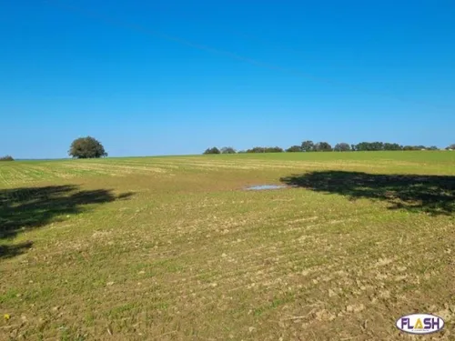 Projet de porcherie industrielle à Vicq-sur-Breuilh 