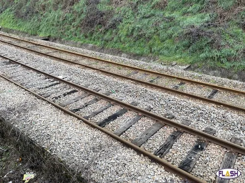 Rail : perturbations à prévoir sur la ligne POLT pendant 6 mois