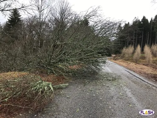 Tempête Caetano : le Limousin durement touché