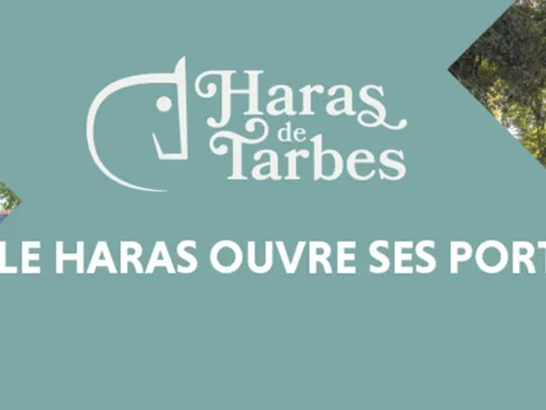 Tarbes : Portes ouvertes au Haras