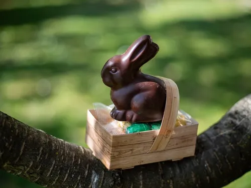 Pâques : d’où vient la tradition des œufs, des cloches et du lapin ? 