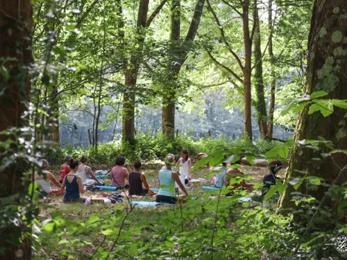  Le programme des Nuits des forêts partout en France 